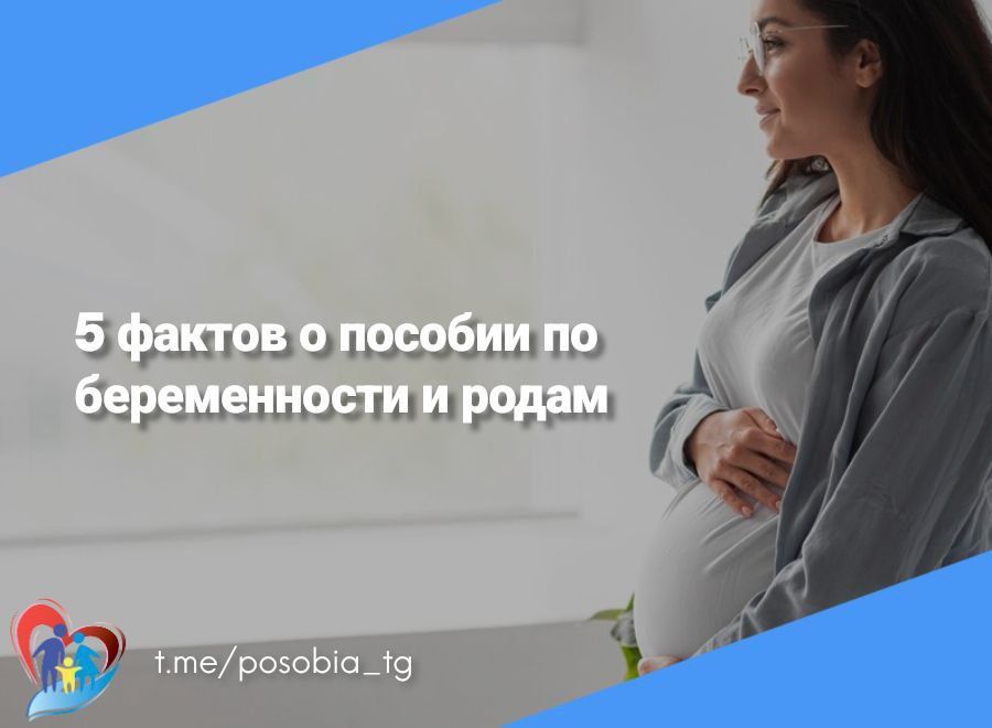 5 ������ � ������� �� ������������ � �����