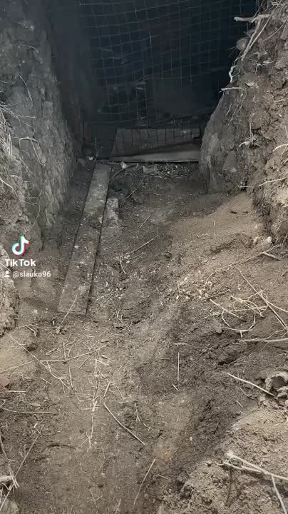 �� ��������� ��������� ��������� ���������� �����