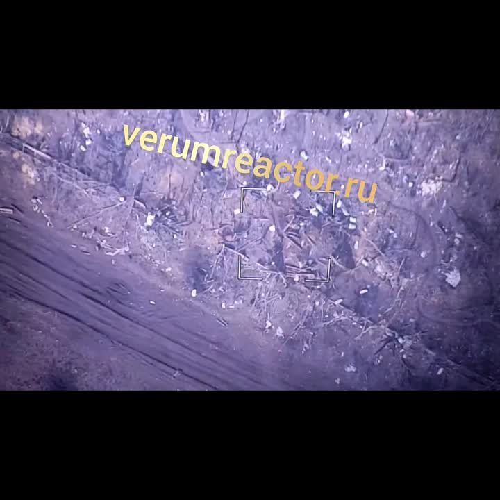 6 ��� 3�� ���������� ������� ������� ���� ��� �� ���������� �����������