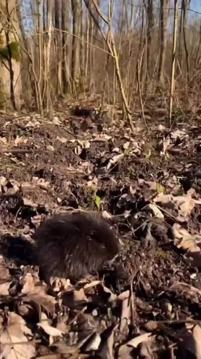 ����� ������. ����� ������������� �������� ������ �������� ����� ����� ����� �������, ������� �� ������� � ��� �������� ������ �� �������� �����