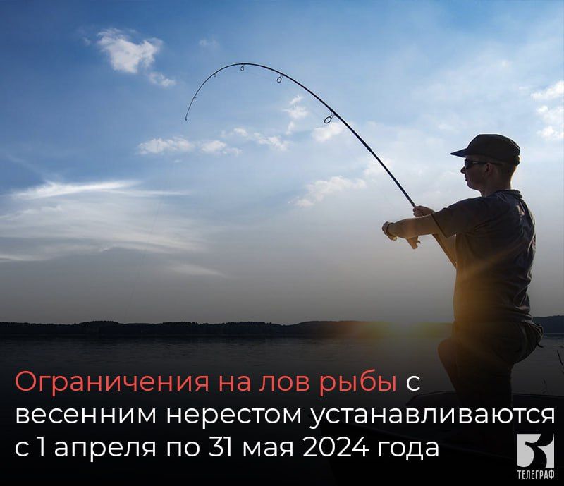 ����������� �� ��� ���� � �������� �������� ��������������� � 1 ������ �� 31 ���