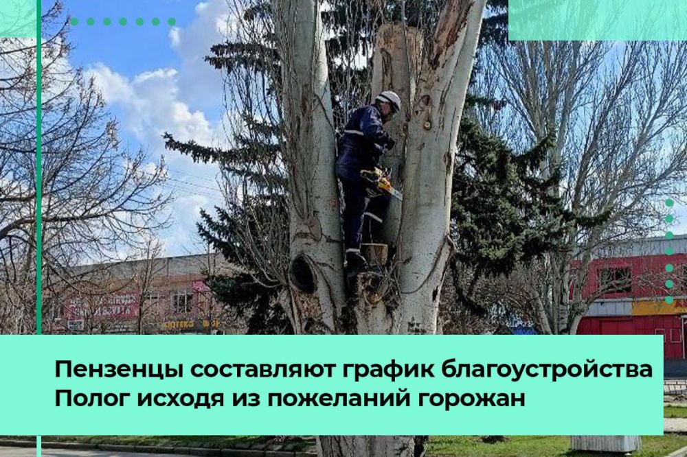 При составлении графика благоустройства Полог пензенцы опираются на пожелания горожан