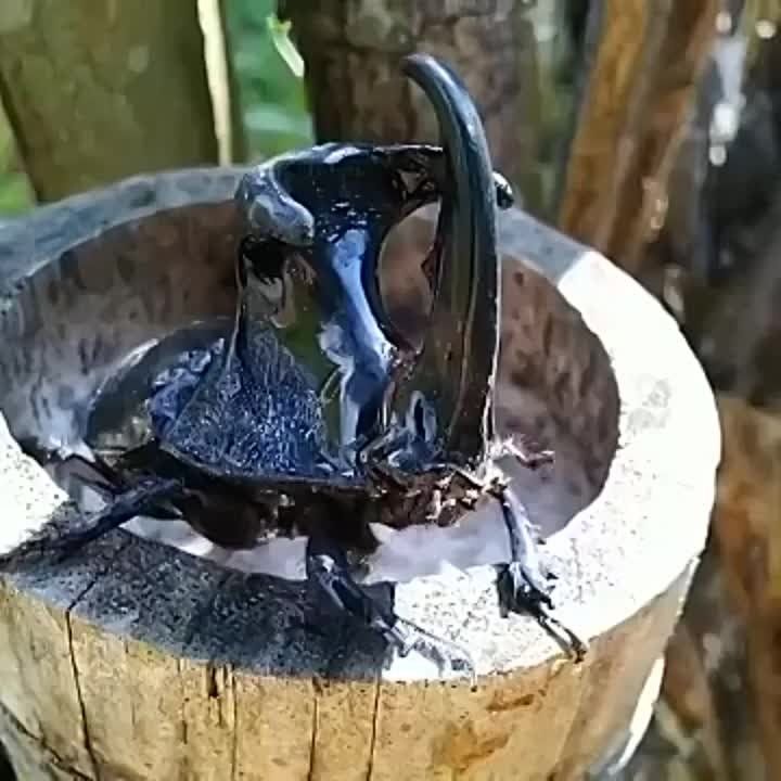 ��� ������� - ��� ����� ������� ��� �� �������. �� ��������� ��� � 800 ��� ������� ������������. ��� �� �� �����, ���� �� ������� ���� ������� 7 ����