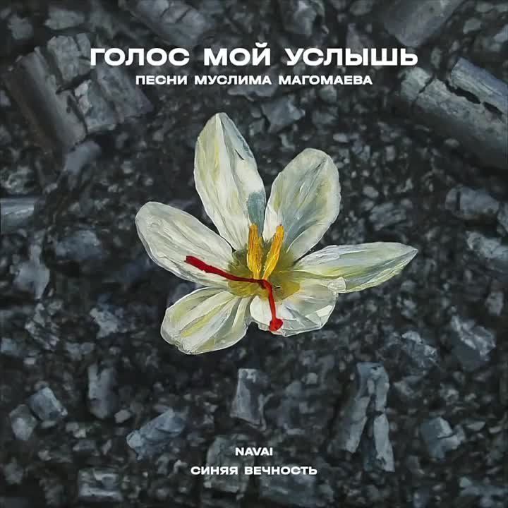 �����, �������� ���������, ���� ���������� � ������ ��������� ������� ����� ������ ��� �������