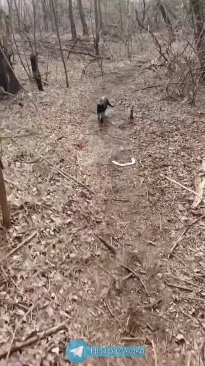 � �� ����� ��� ���� �� ������, ��� �� ������ ������ ��� ��� � ��������� ������������ �� �����? �� ��, ��� ��� � �������� ������ � �������, ����� � �������� � ���������� ��������� �������� ���