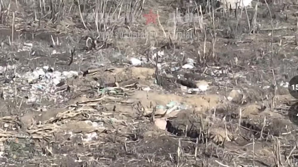 FPV ���� ��-40 ������ ���������� ������� ���� �� ����������, �������� ����� � ������