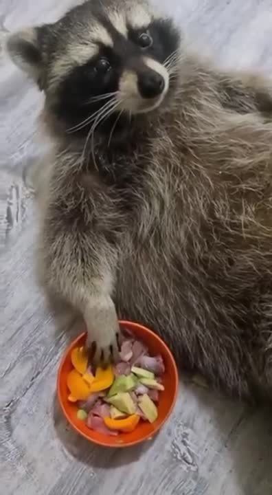 ������ ����, ������! �������� ��� ��� � ��������� ����������!