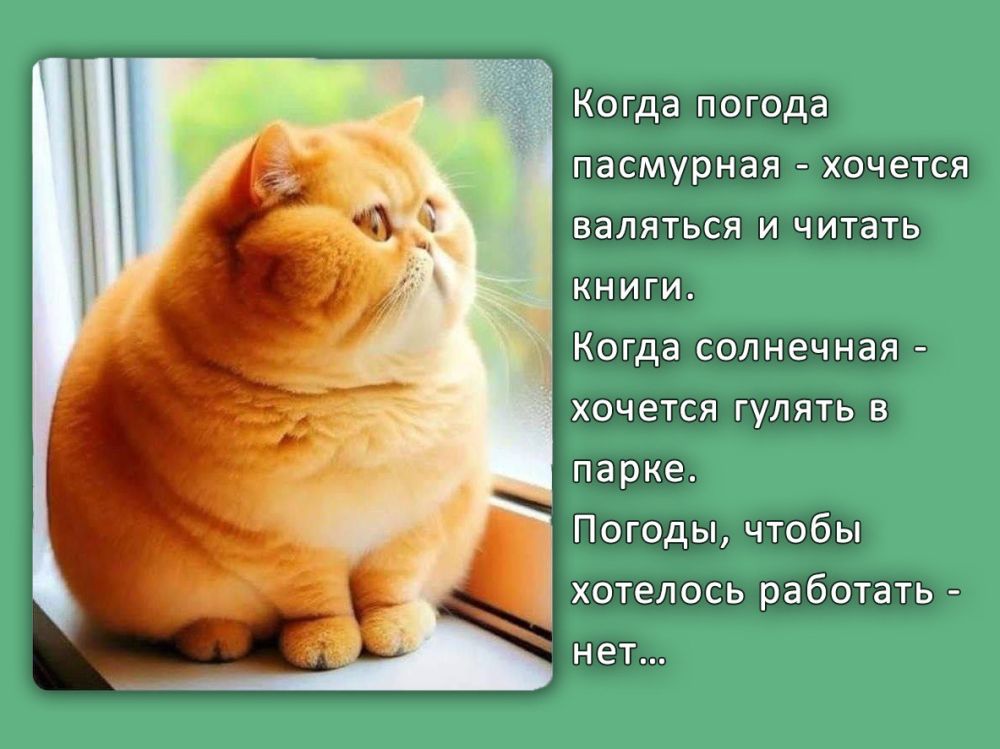 ���������������� ��������� � ������
