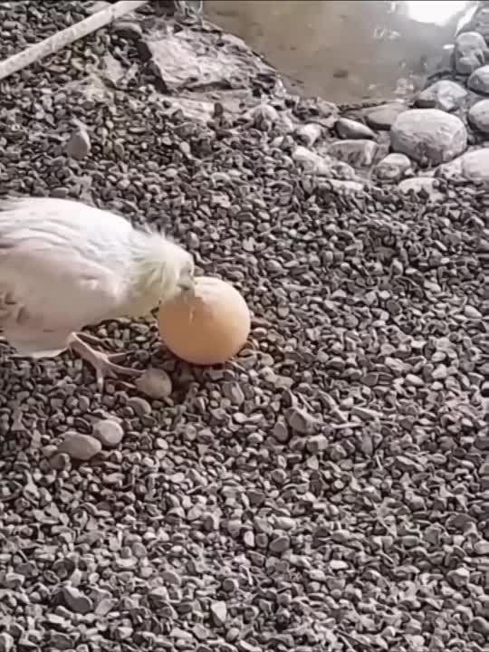 ���������� � ���������� ����