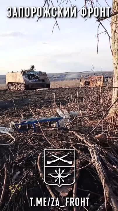 ������������ ���������������� M113 ������������� ������������ ���������� ���
