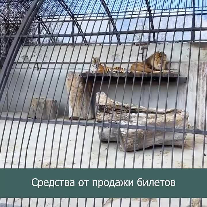 ����� ������������ ����� �������� � ����������