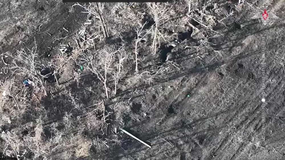 ������� FPV-������ ���������� ���������� ������ ���