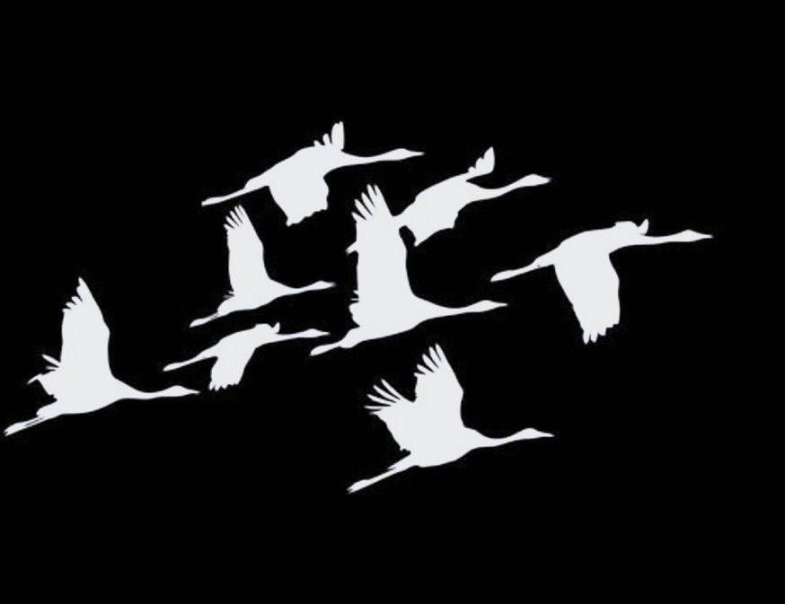 ������� - 9 ���� � ������� ��������� ������� � �����������