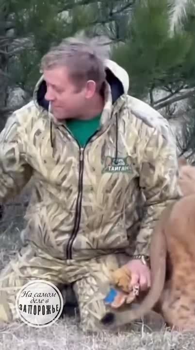������ ����� �� ���������� � ������ �������� ����� ���������� � ���� �����
