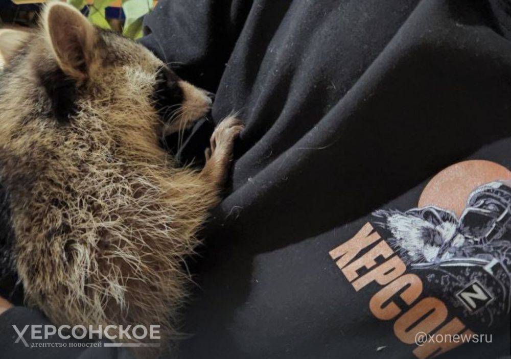 �������������� �����������: ���� ������ � ������ �������� ���