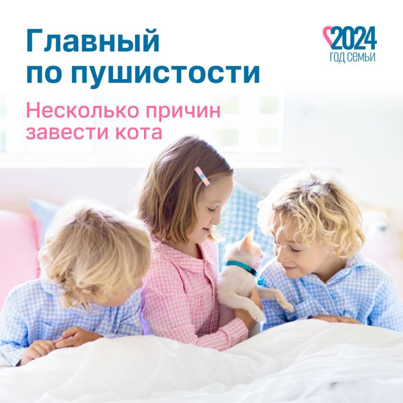 ������ ���� �� ����, ����� ����� � �������� �� ��������, � ��� ������� ��������� � ���������