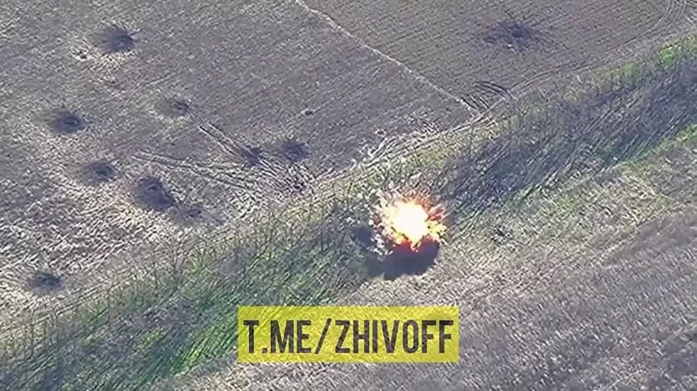 ��������� ���������� ������� �-20 �� ����������� �����������