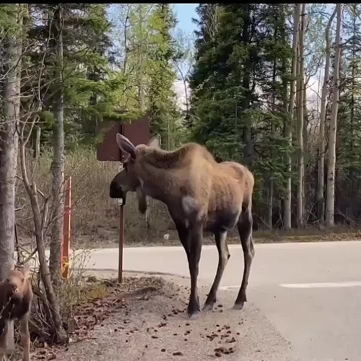 ������� ����� ������� ������ ����� � ����� ��������! �������� �� ���� �����������, ������ ������ �� ���� ��������� ����� �� ����� ��������