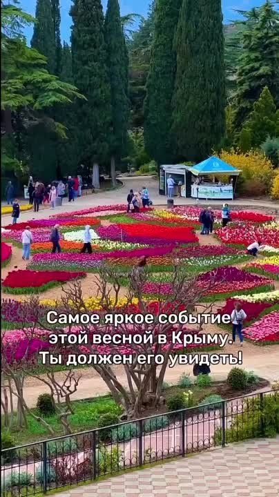 #�������������. ��������... ��������... ��������! ��� �������!