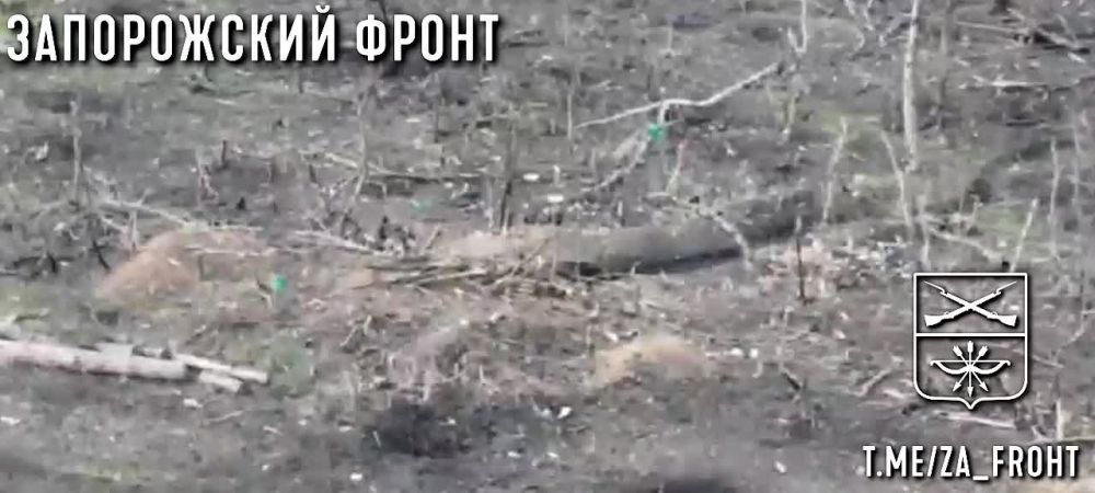 ������ ��������� FPV-������ � ������� ����������