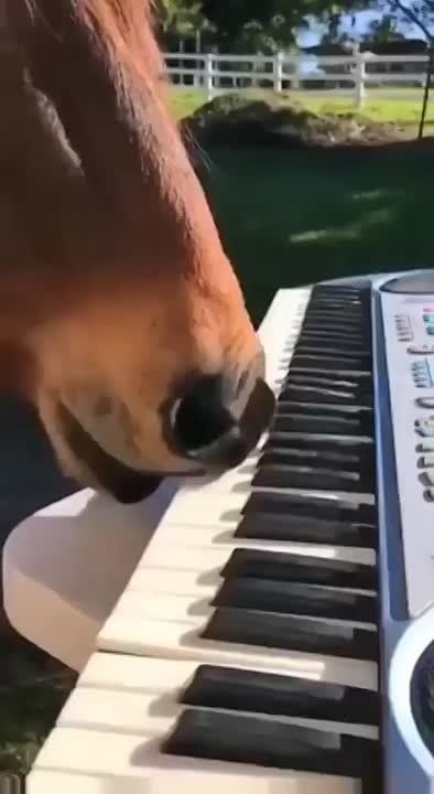 ���������� ����������!. �������������� ��