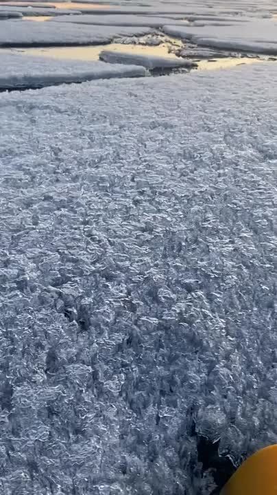 #�������������. ����������, ��� ����� ������ ����������� ������� ��������� �������