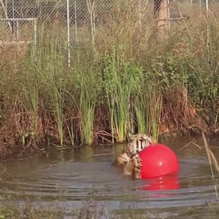������ �����!