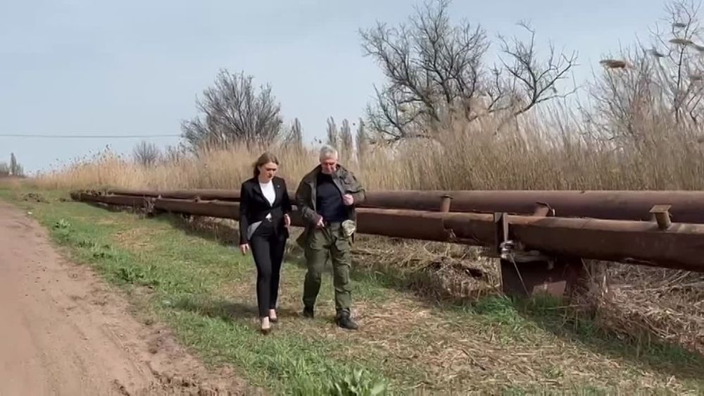 ������� �����������: ������� ������� ������� � ������ �������� ������� ���������� ������� ������� �������������