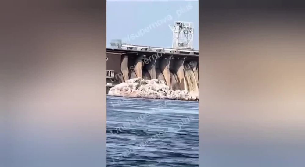 ����� ���������, ���������