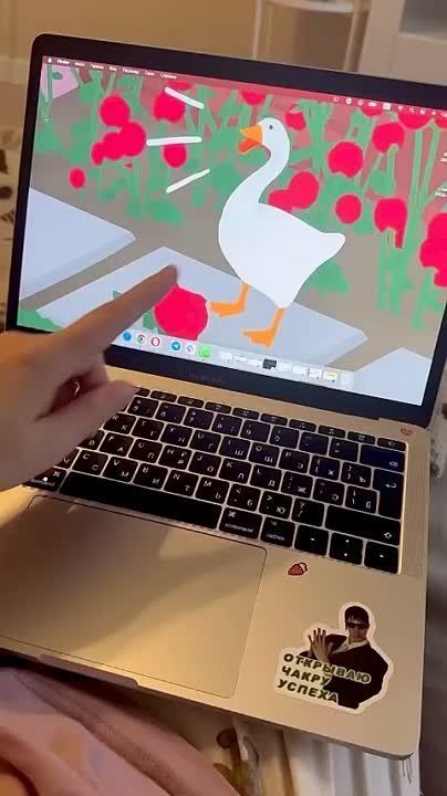 � �������� ������� Desktop Goose � ���������� � ������� ����, ������� �� ���� ��� ��������