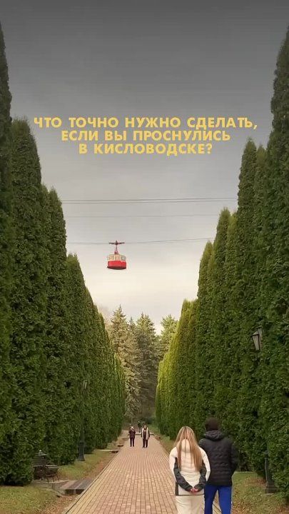 #�������������. ��� ����� �������, ���� �� ��������� � �����������