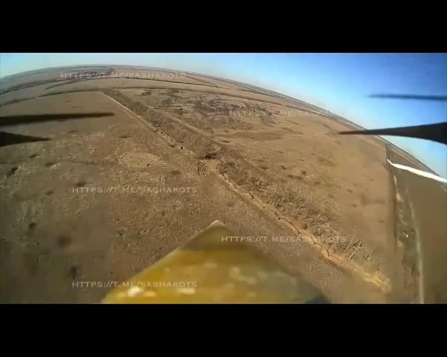 ��� �� ������� �������-���������