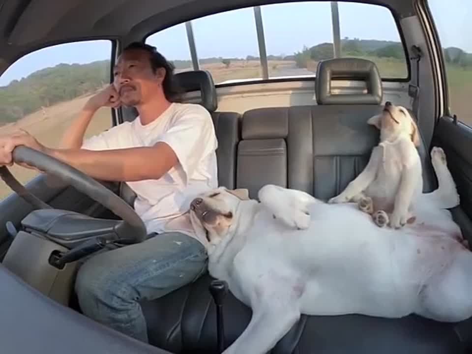 ��������� ���� ������ ������� � ���������� ��������