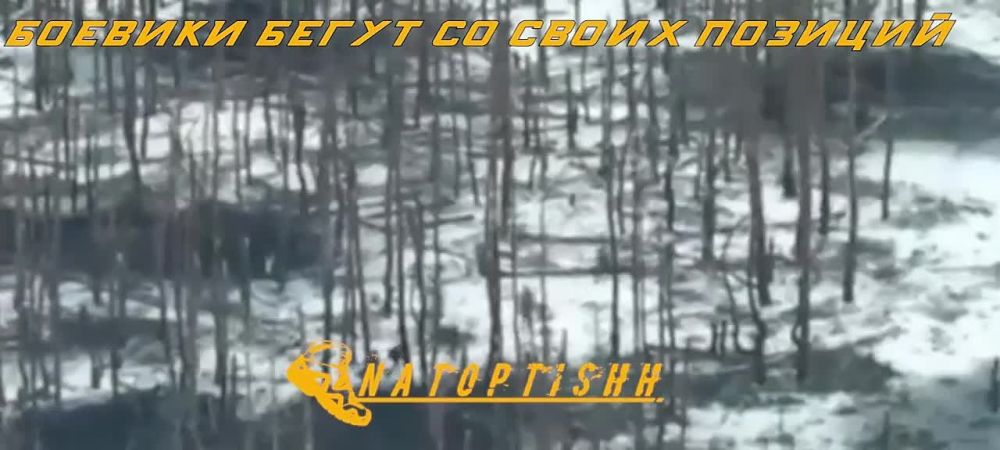 ������������ �� ��������� ����������� ������� �������� ������� ����� ��������, � �� ������ �� ���������� ���������� ��������, � ������ �������