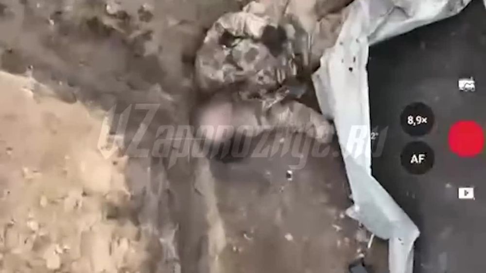 �������� ���-��� ������ � ���, � �� ��������� � �������� ������� � ���������� �� ����������� ������ ������� ���������� ���� 417 ����������������� ���������