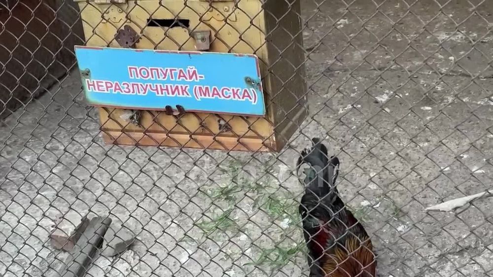 ��������� ����. ������������ �����