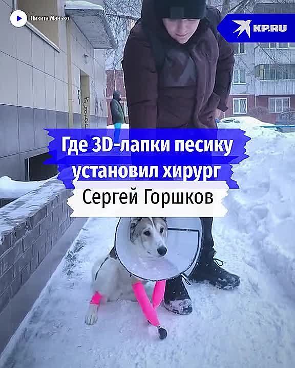 ��� �� ������ ����� �������� ��������� ������: ������ �������, ���������� ����, � ������������ ������ �������� ���, �� �� �����!