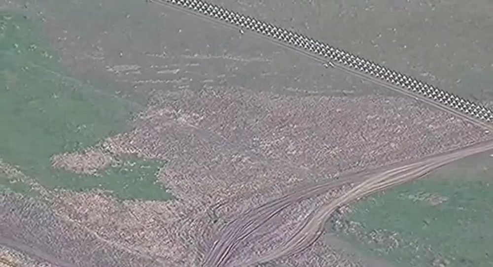 ����� ���������� ���������� �� ����� �� �������� ������ � ����������� �������