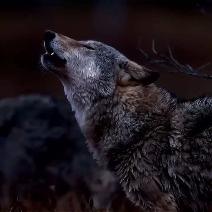 ��� ��� ����� ���� ������ �������� ������� �� 5-7 ����