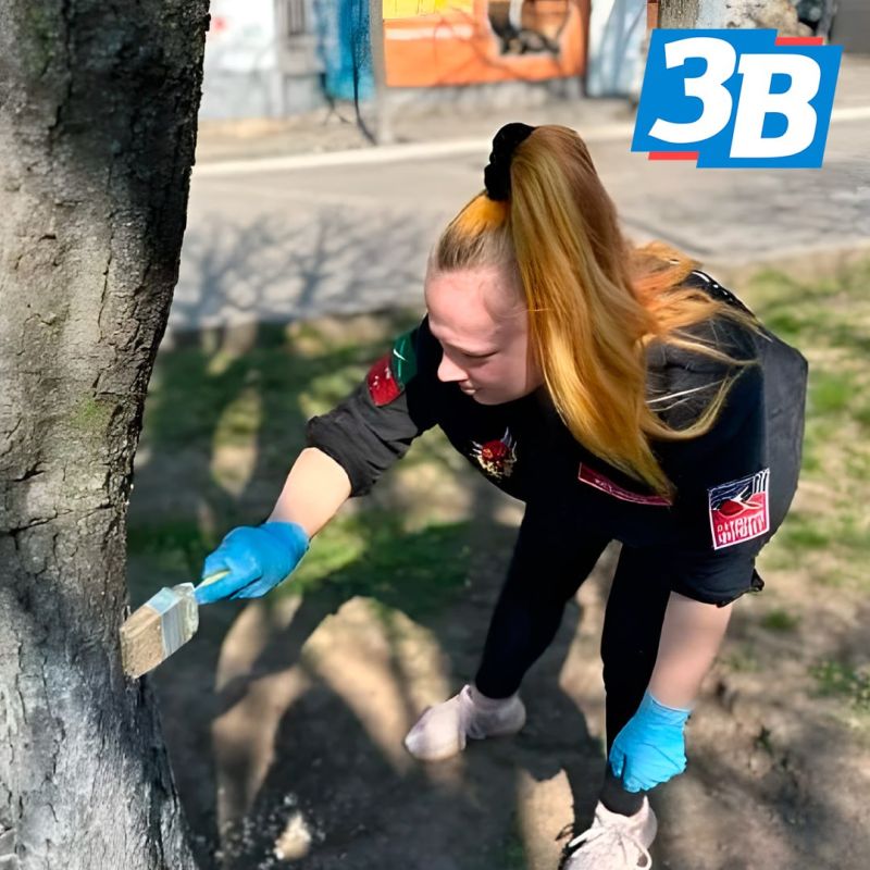 3 ���������� ���������� ������� ������ ������� ����������� � ����������� �������