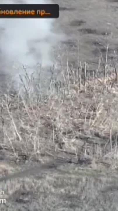 ������� �������: ����� ����� ������-������������ ���������� ����� ������� ������������, �� ���� ������ ��������� � ��������� �� �����