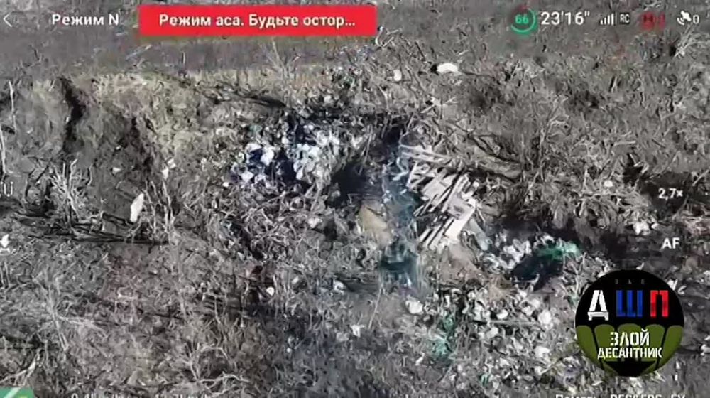��� ������: ����������� �����, ��������, ����������� ���� ���������