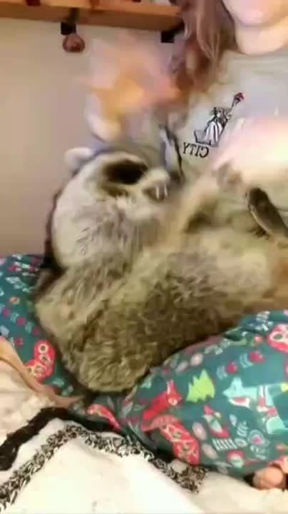 ������ ����, ������! �������� ��� ��� � ��������� ����������!