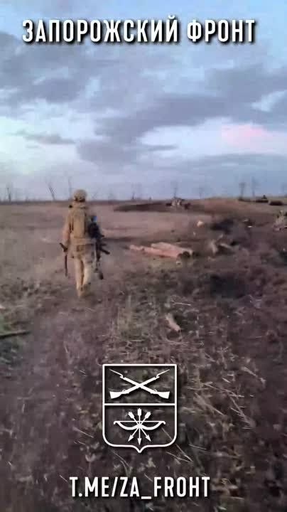 ����� ��� �������� �������� ������������ ������� ������ �� ����������� �����������