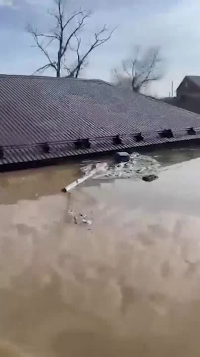 � ����� ���� ����� � ����� ��������� ���������, ����� ����� ������ ���� � ������������ �������������