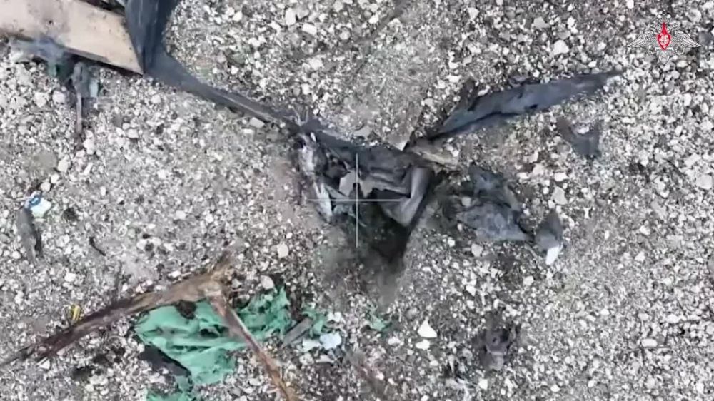 ��������� ���� ������ ����������� ����� ���������� ������� ����� � ������� �� �������� 81-� ��������� ������������� ������� ��� � �����������