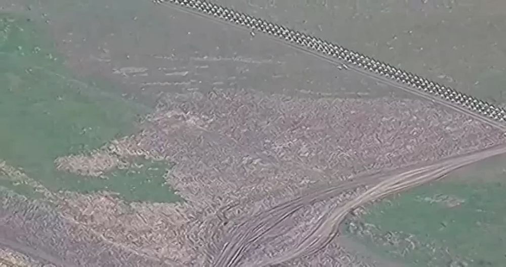 ����� �������: ��� ������� ���������� ����������� ���������� �� ����������� �����������