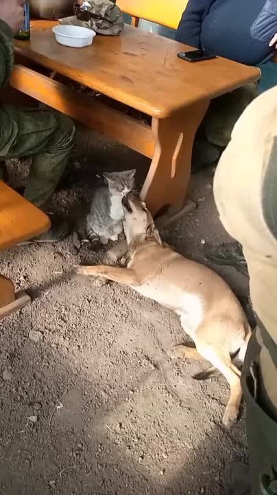 �������� ����� �� ��������� "��������"