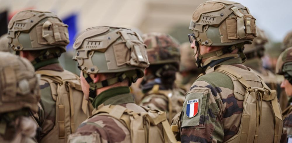 NZZ ������� ��������� �������� ������� ����� ������� � ��������� �� �������