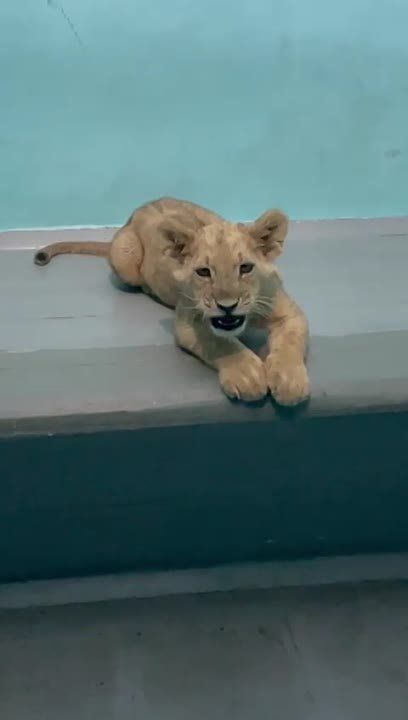 ��� ������ �������� ����� �� ������ ���������� �������� � ������